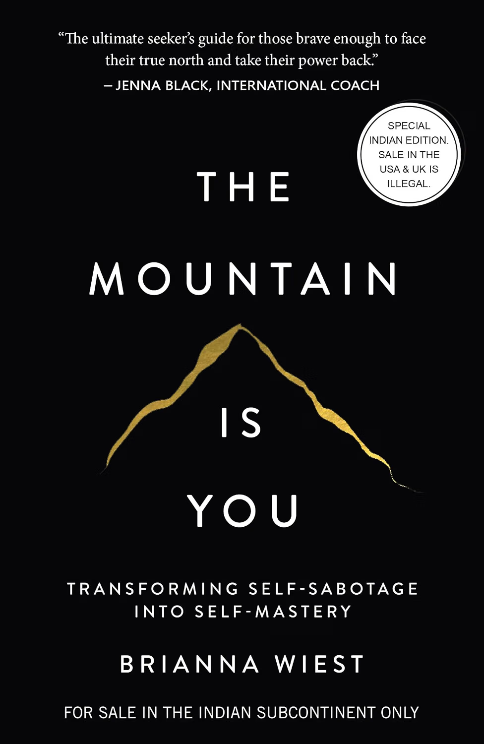 The Mountain Is You book cover